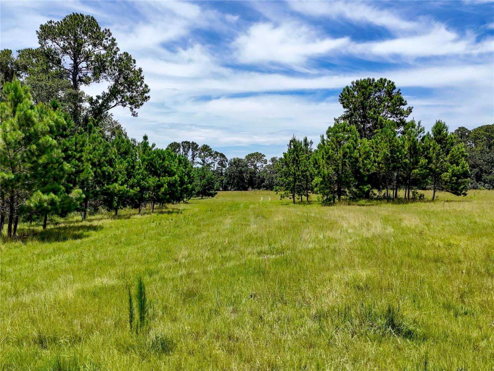 20089 Ayers Rd Property Photo 29