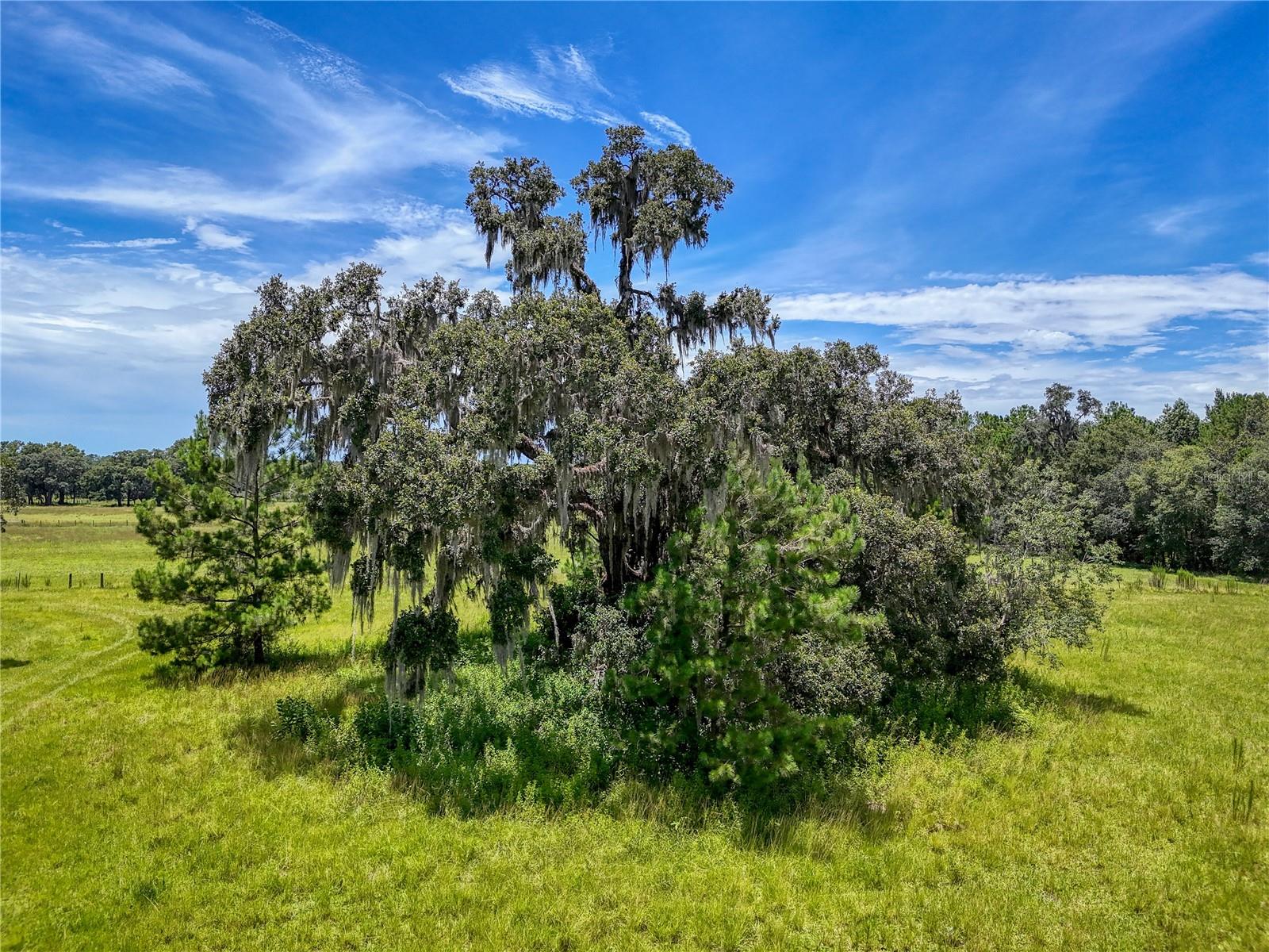 20089 Ayers Rd Property Photo 34