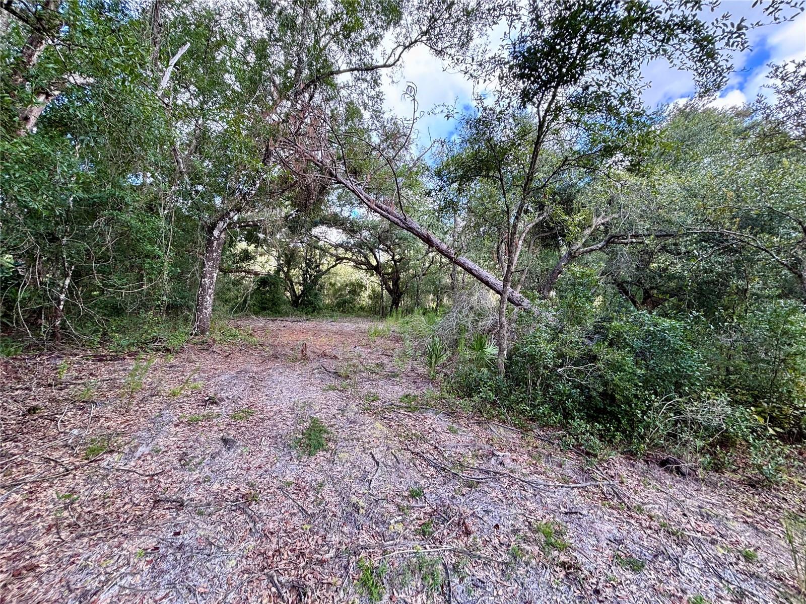 0 Bedrock Dr Property Photo 7