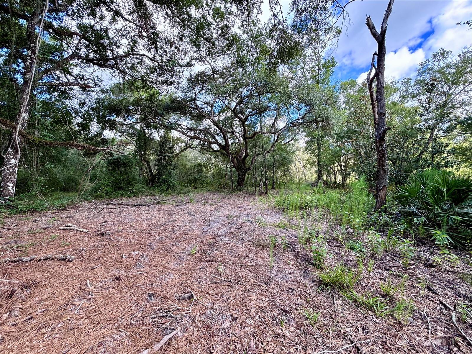 0 Bedrock Dr Property Photo 8