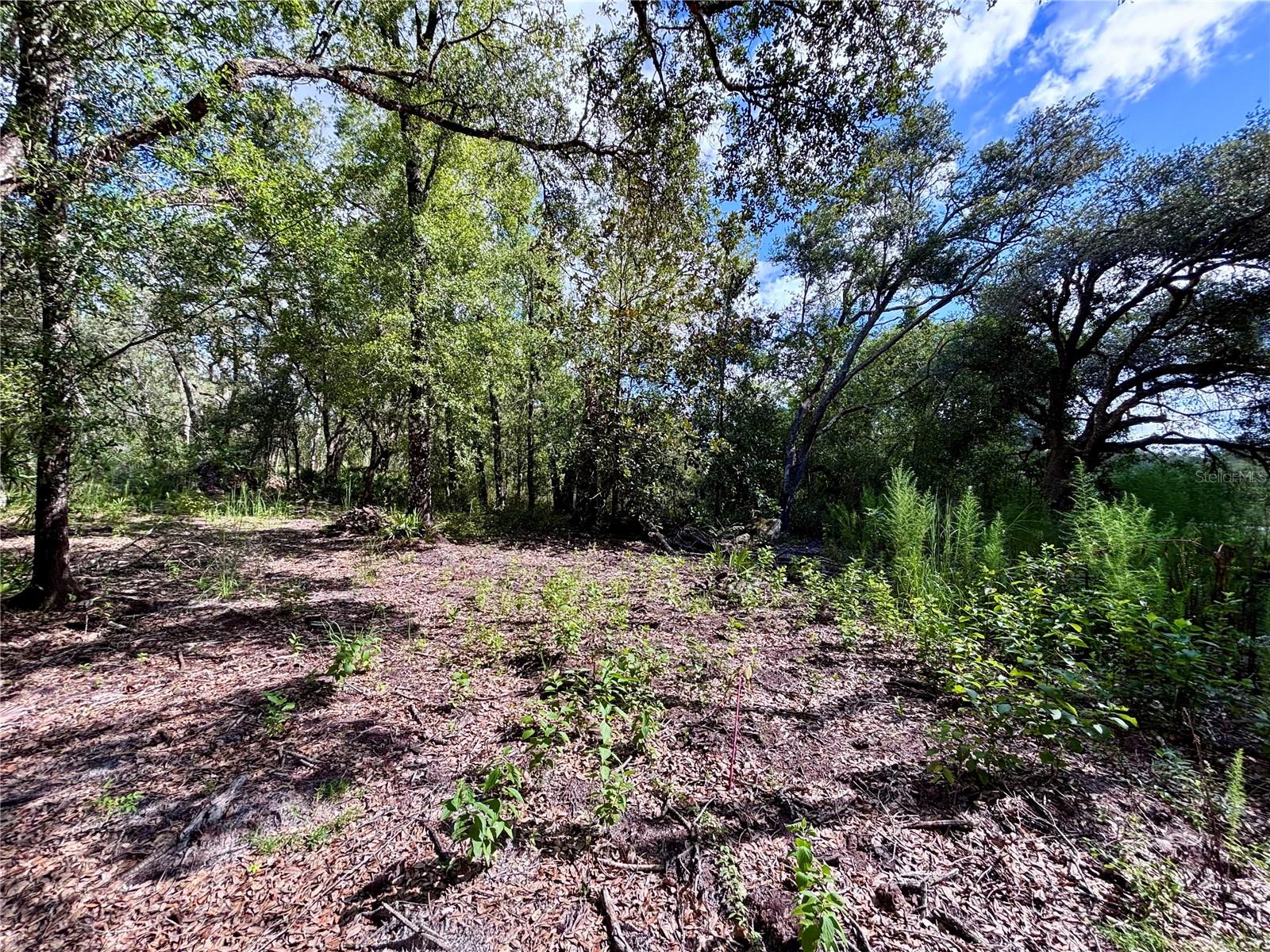 0 Bedrock Dr Property Photo 10