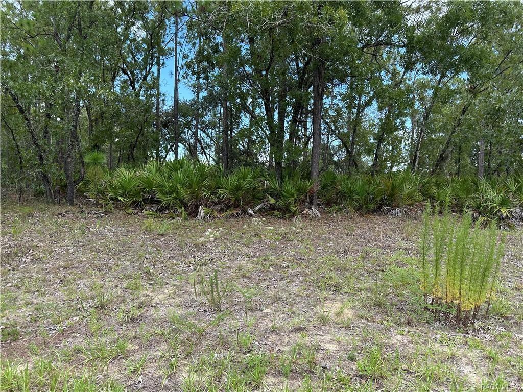 1195 W HAMPSHIRE BLVD Property Photo 1