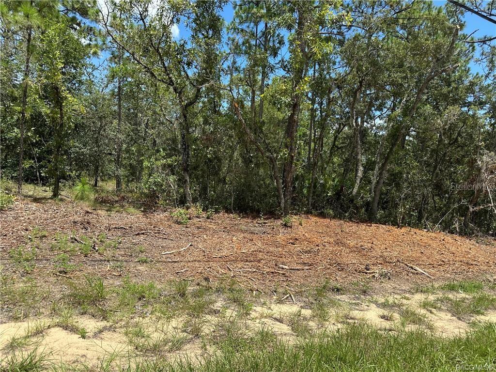 955 W HAMPSHIRE BLVD Property Photo 1