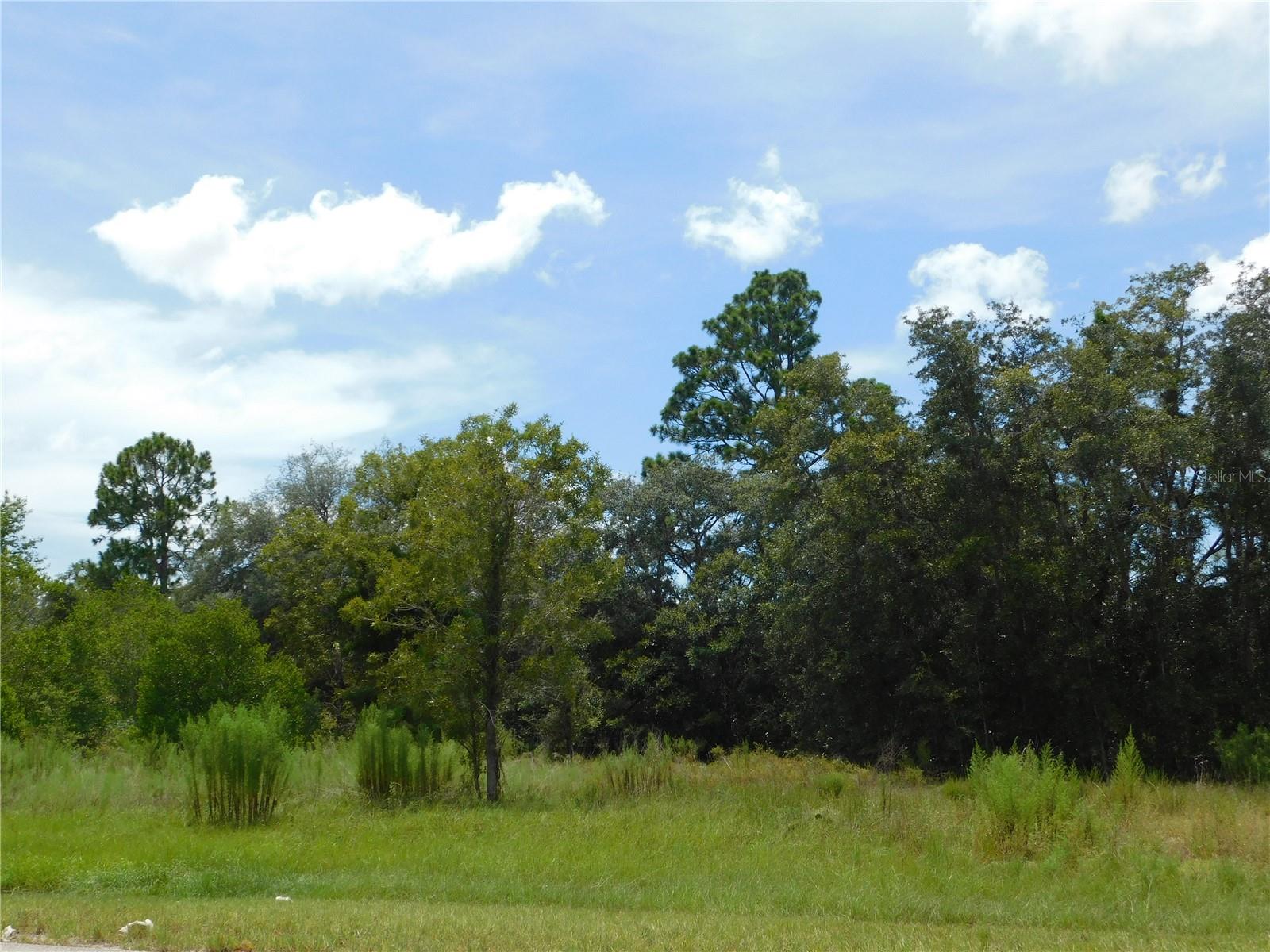 6681 N Bedstrow Blvd Property Photo 3