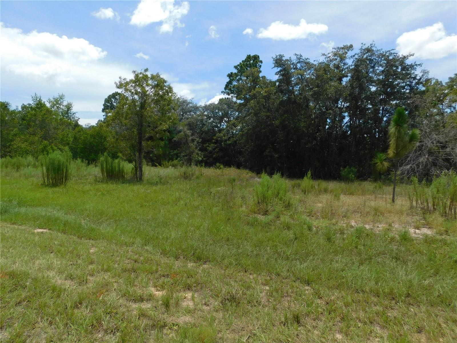 6681 N Bedstrow Blvd Property Photo 5