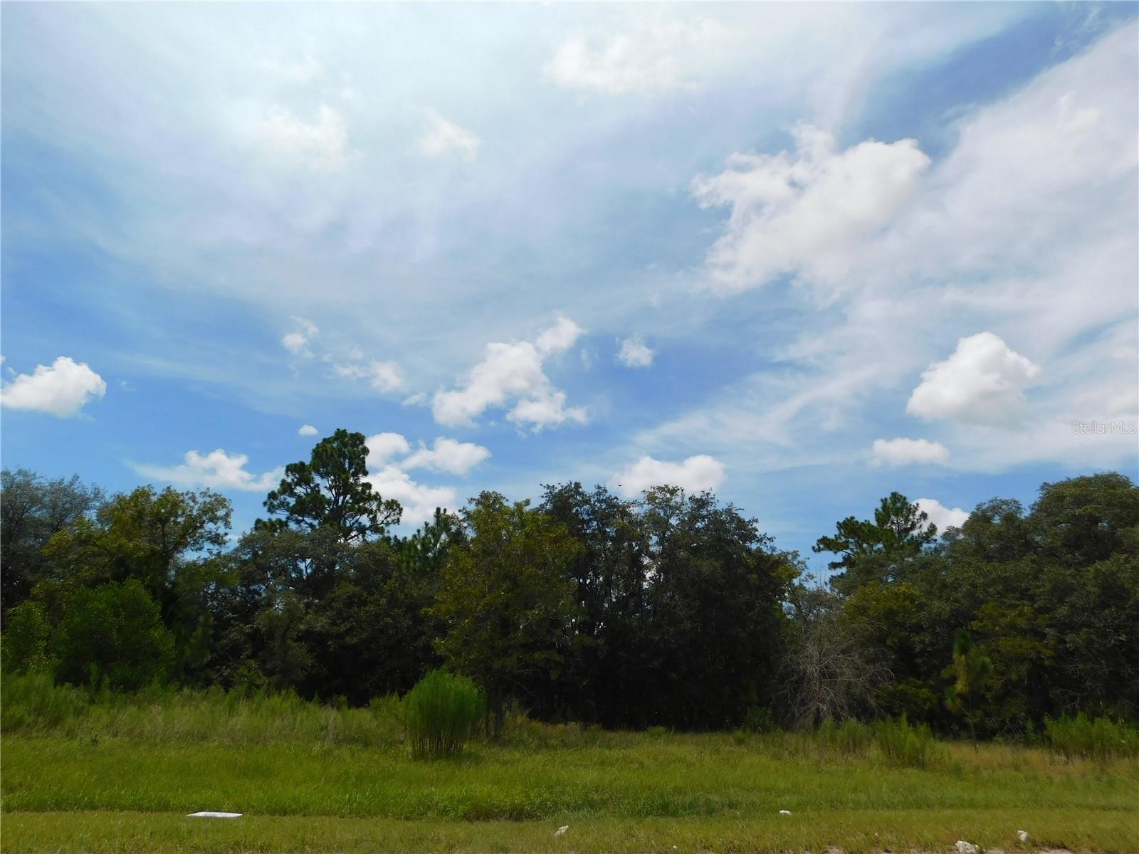 6683 N Bedstrow Blvd Property Photo 1