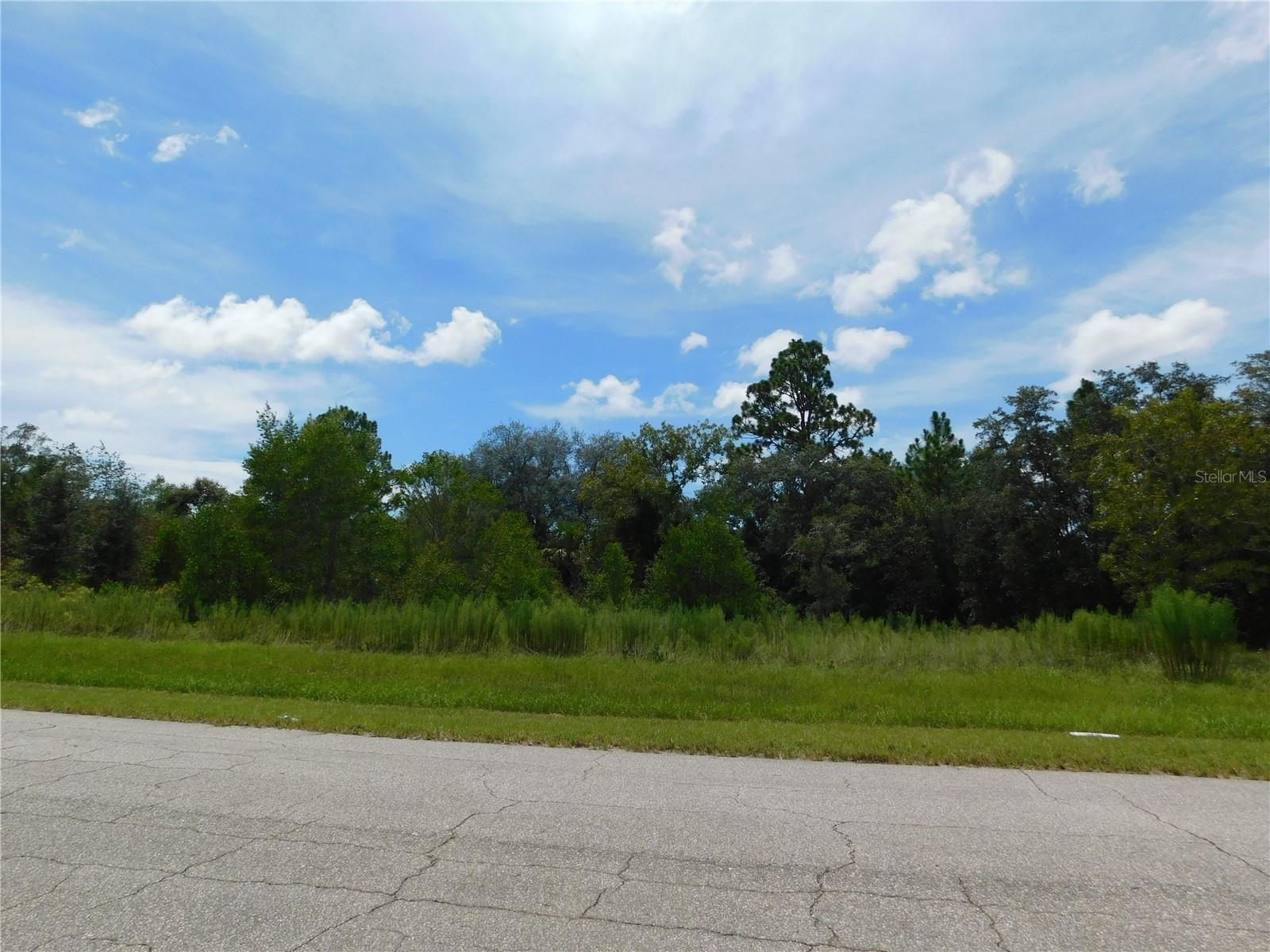 6683 N Bedstrow Blvd Property Photo 3
