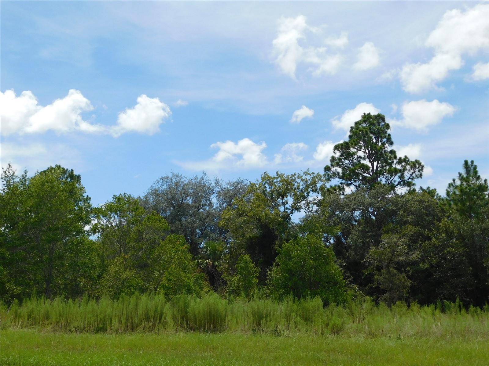 6683 N Bedstrow Blvd Property Photo 4
