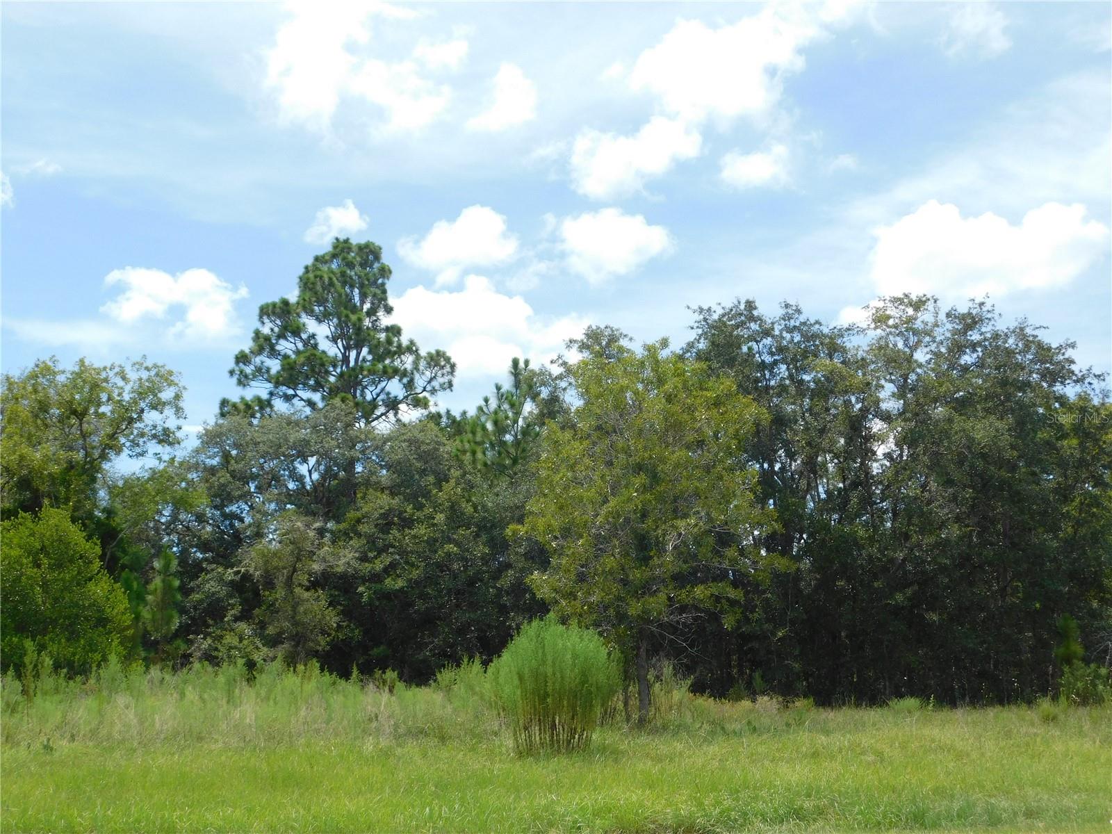 6683 N Bedstrow Blvd Property Photo 5