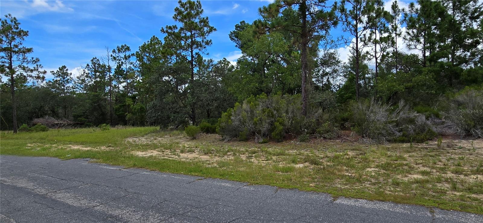 2899 W Santana Dr Property Photo 2