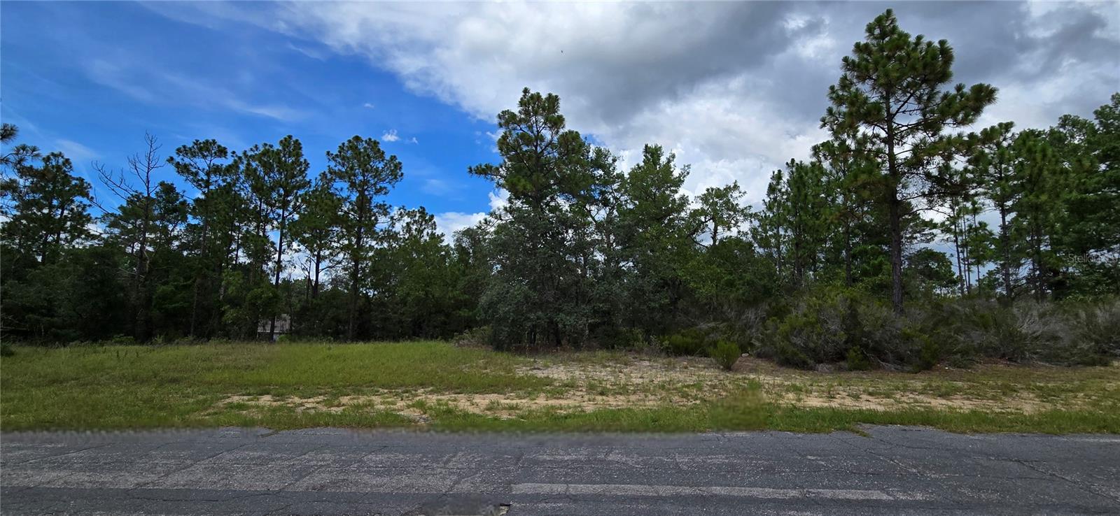 2899 W Santana Dr Property Photo 3