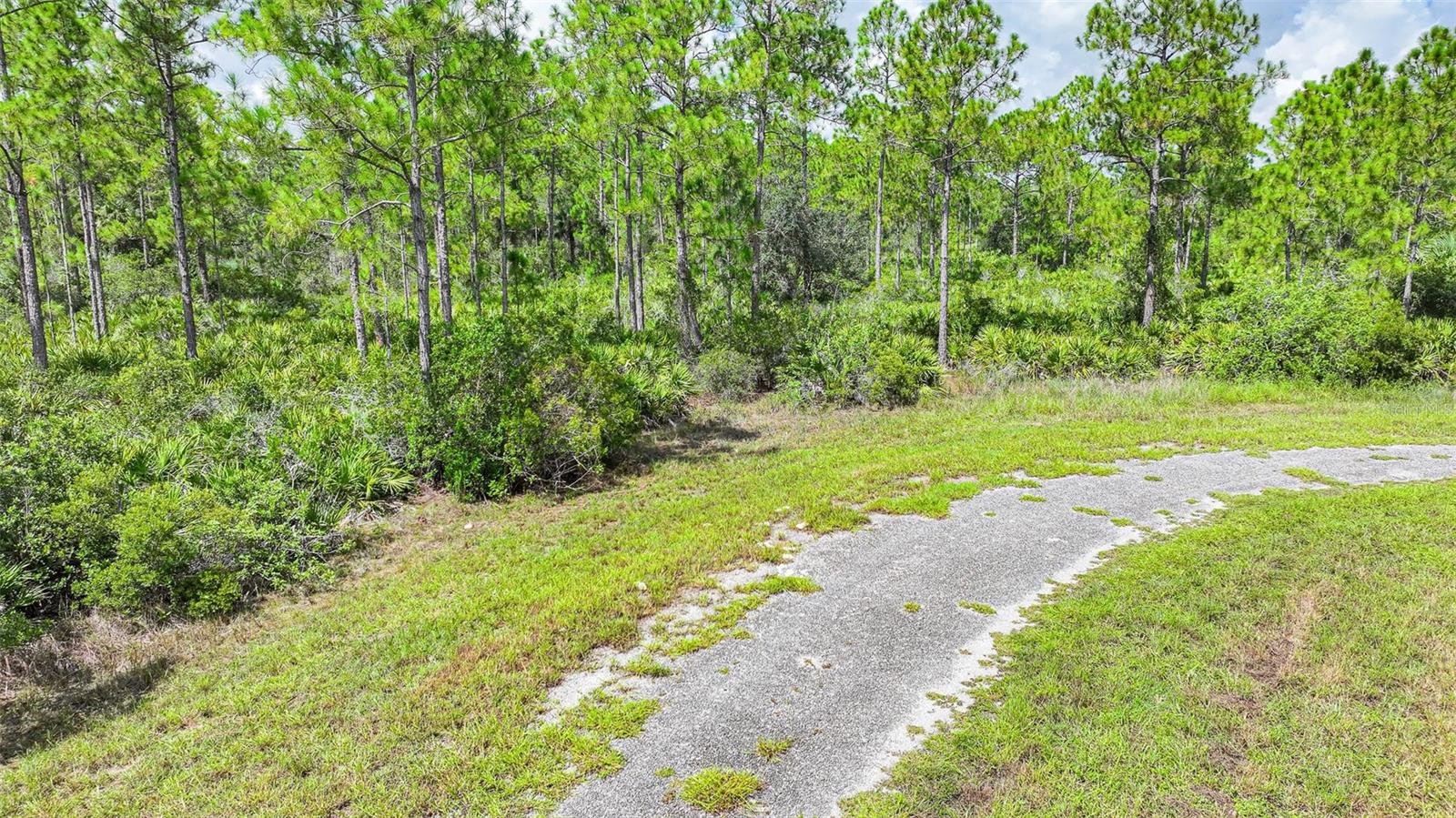 309 Nagle Ct Property Photo 4