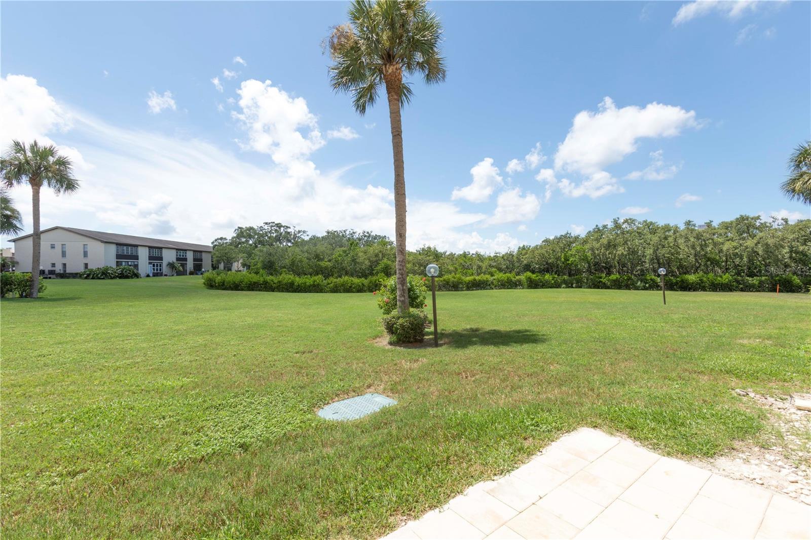 5245 Amulet Dr #108 Property Photo 23