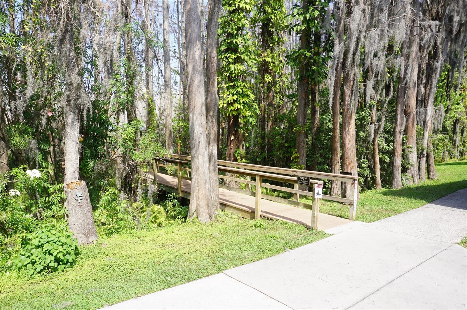 20893 Haulover Cv #8 Property Photo 29