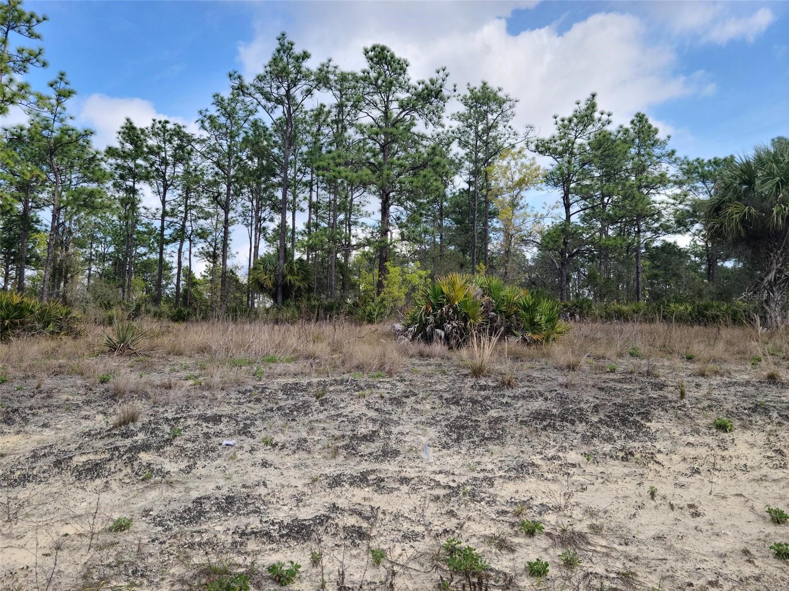 12121 Thrasher Ave Property Photo 3