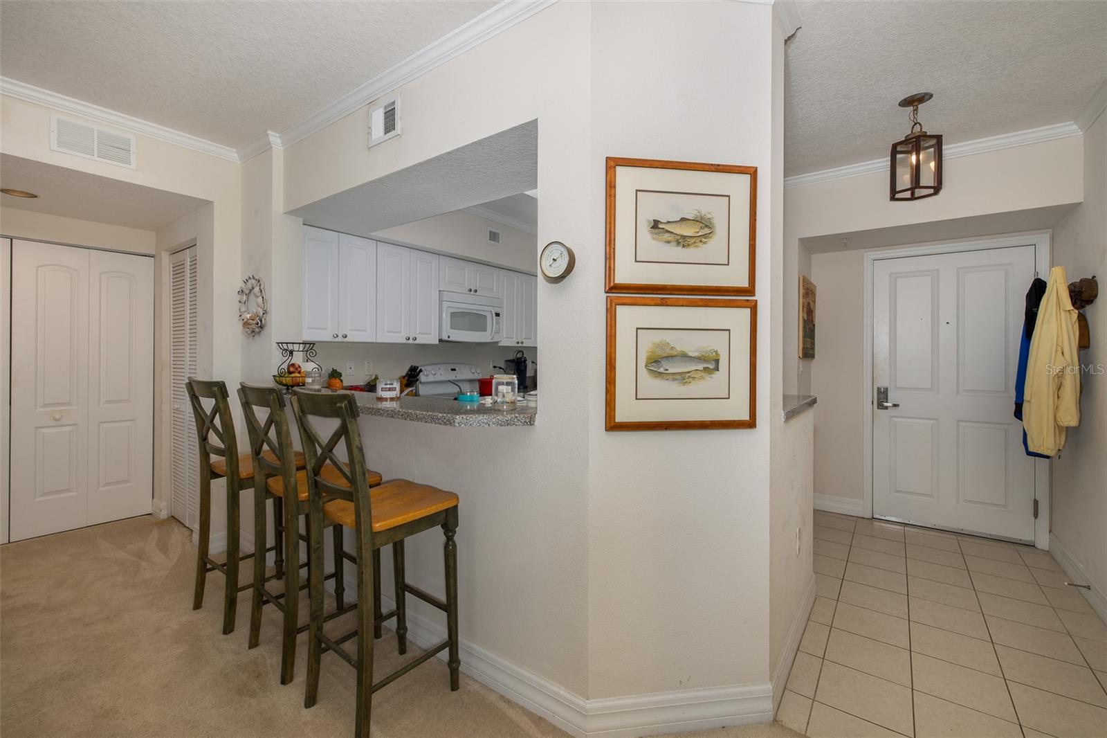 4516 Seagull Dr #413 Property Photo 7