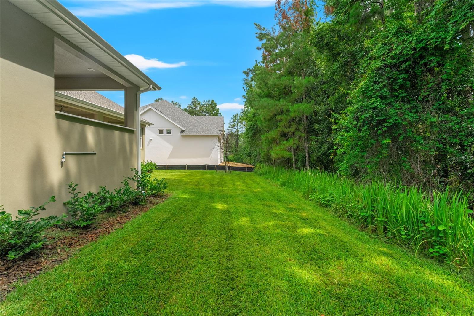 5034 Elm Leaf Dr Property Photo 38