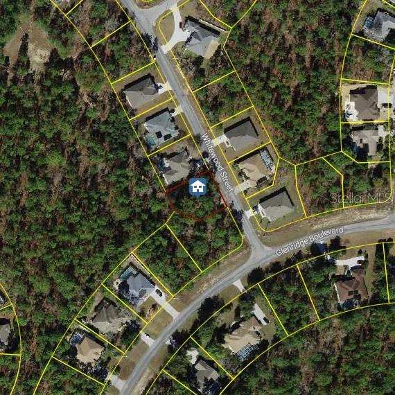 101 Whitewood St Property Photo 1