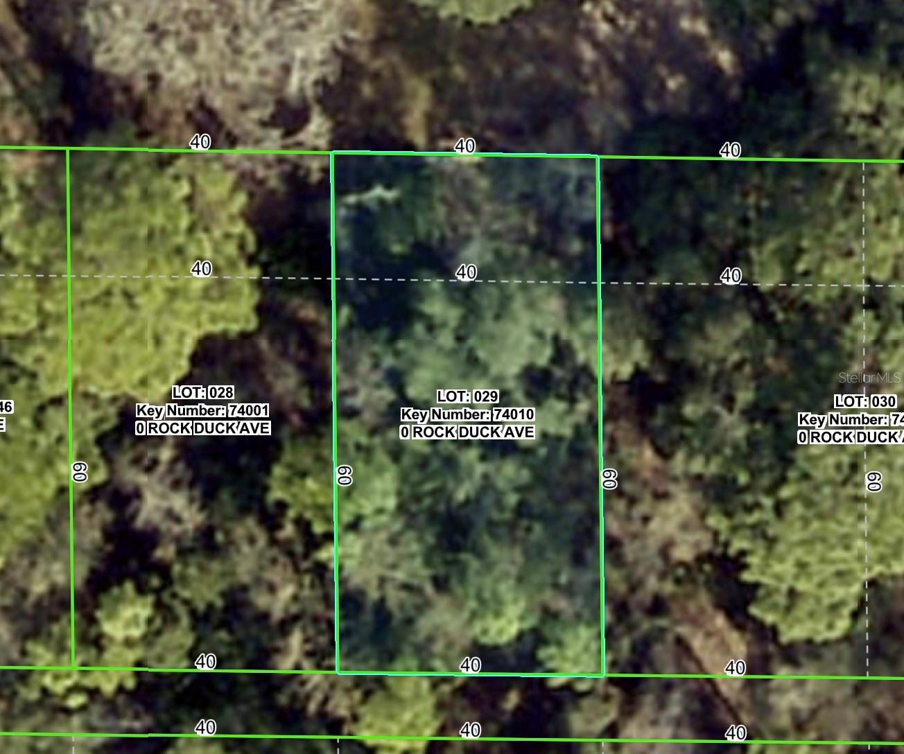 Rock Duck Ave Property Photo 1