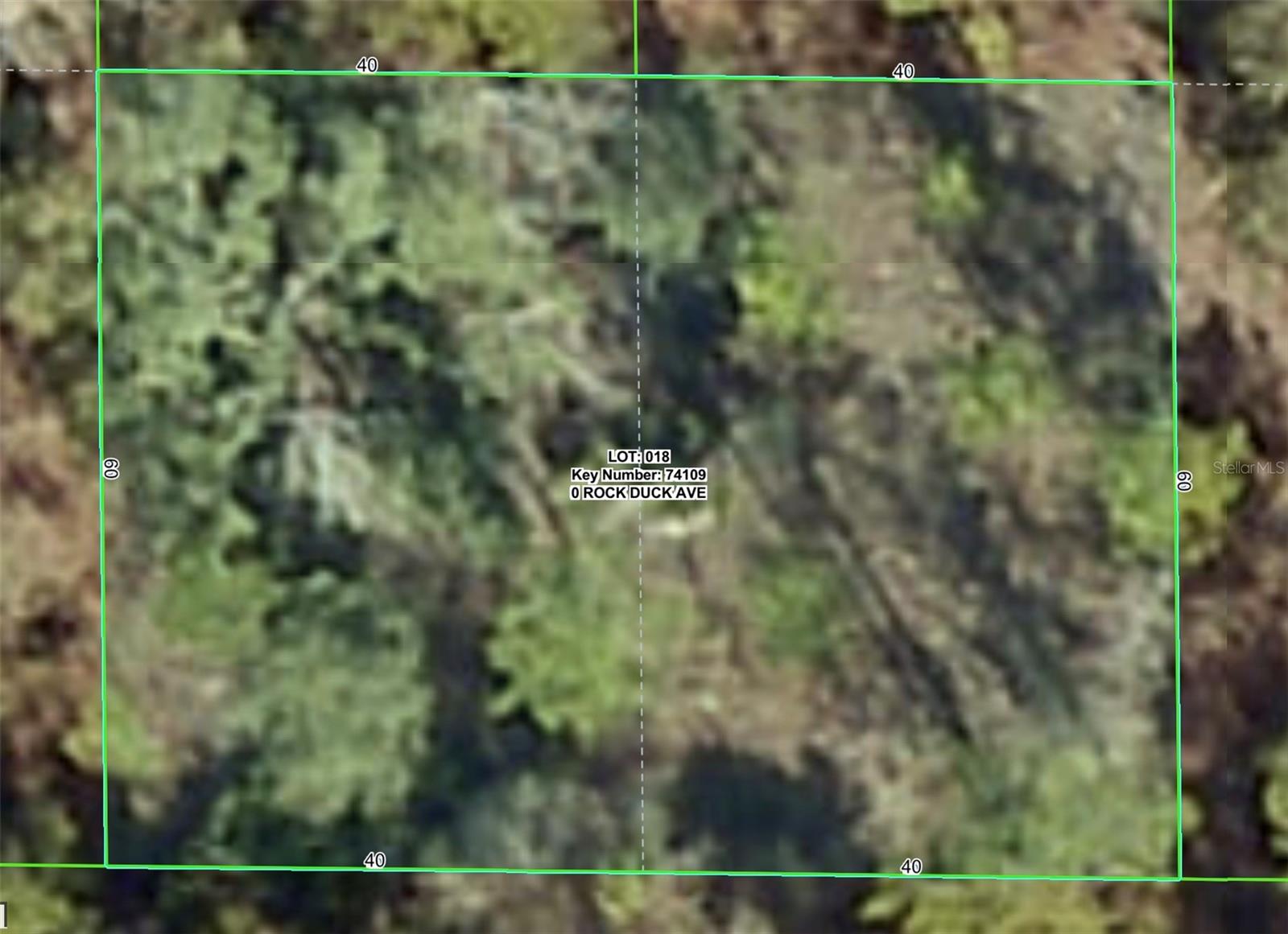 Rock Duck Ave Property Photo 1