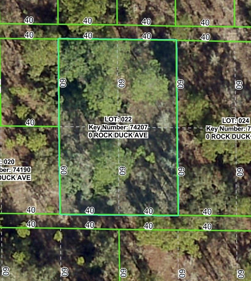 Rock Duck Ave Property Photo 1