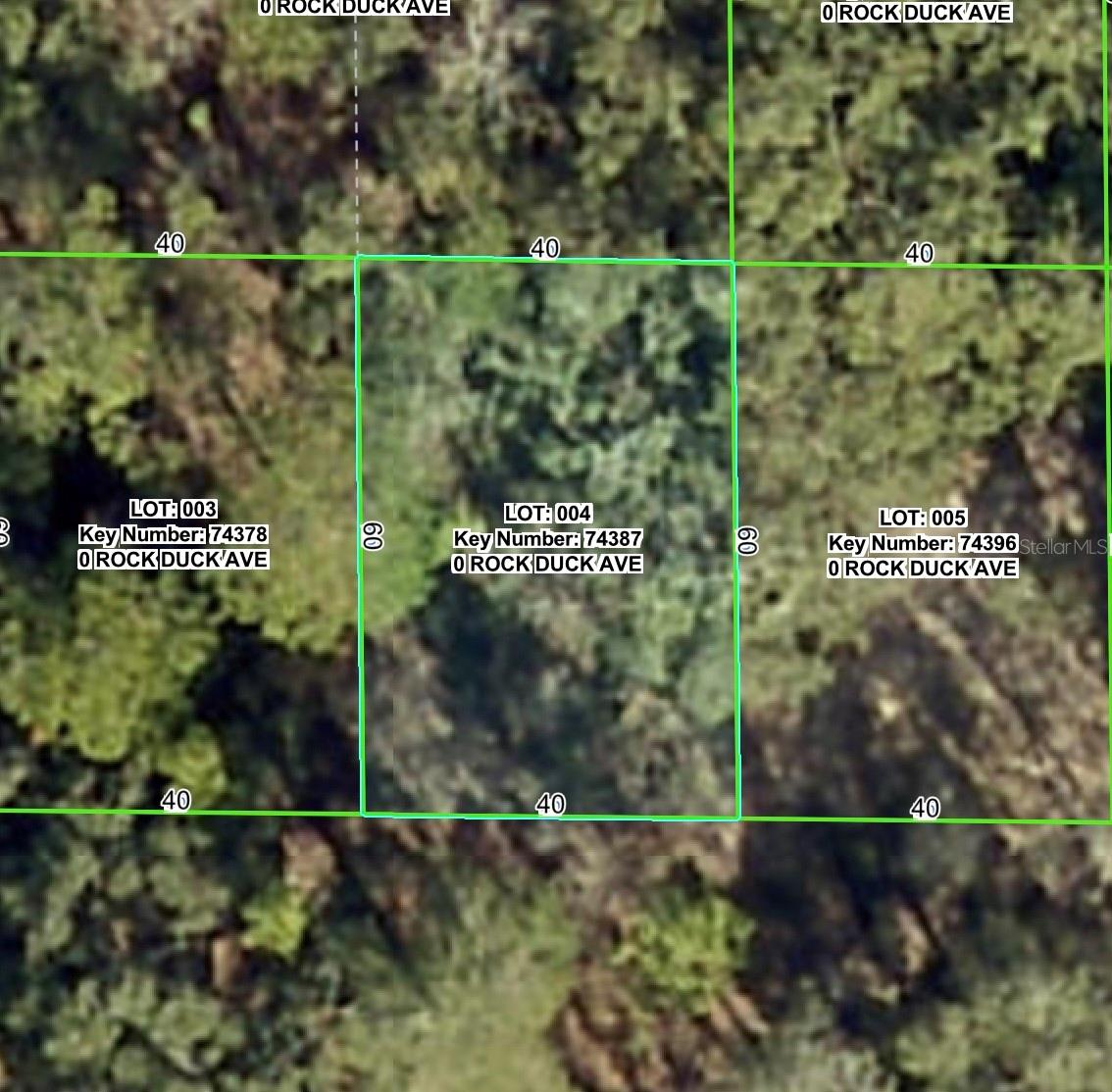 Rock Duck Ave Property Photo 2
