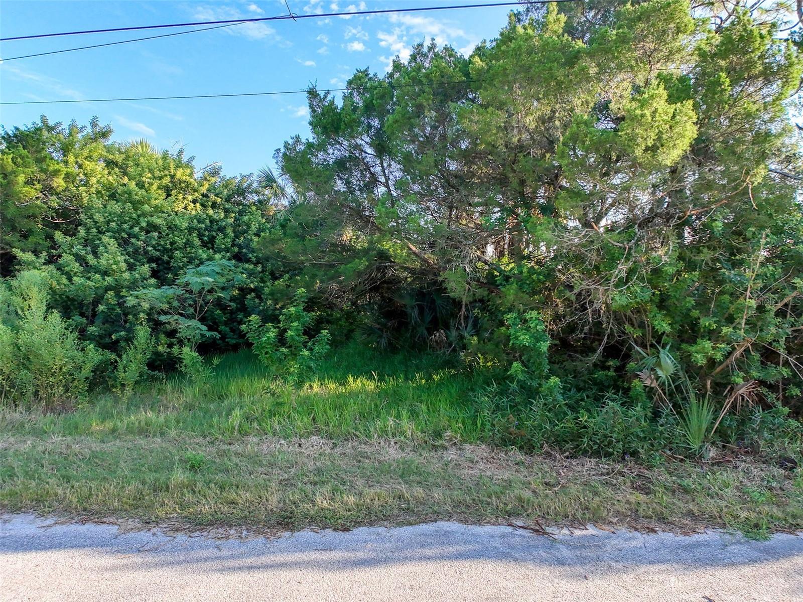 Lot 11 Nowiki Ave Property Photo 12