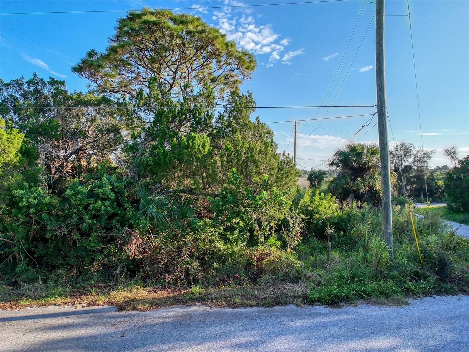 Lot 12 Nowiki Ave Property Photo 17