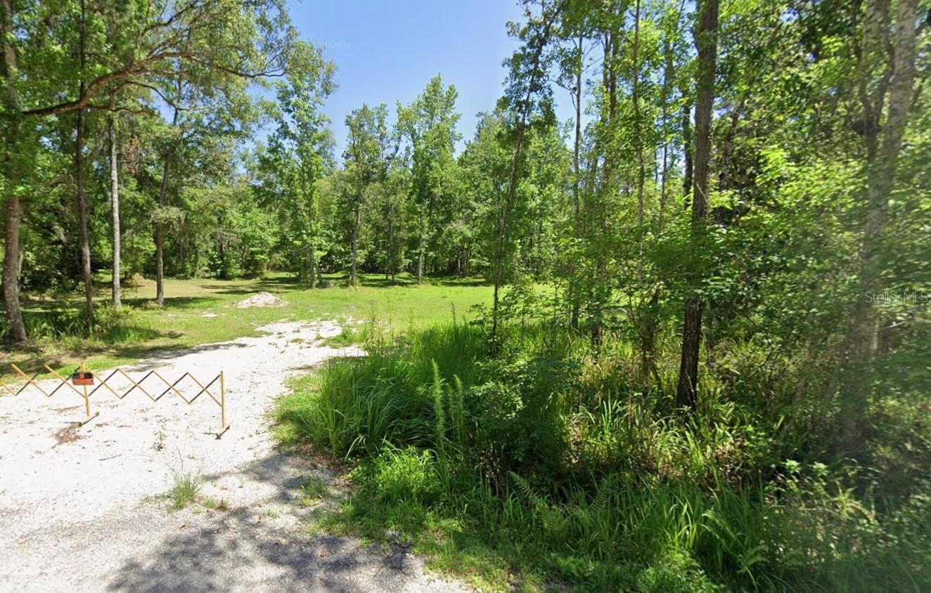 0 Ray Browning Rd Property Photo 3