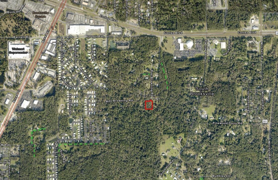 0 Ray Browning Rd Property Photo 6