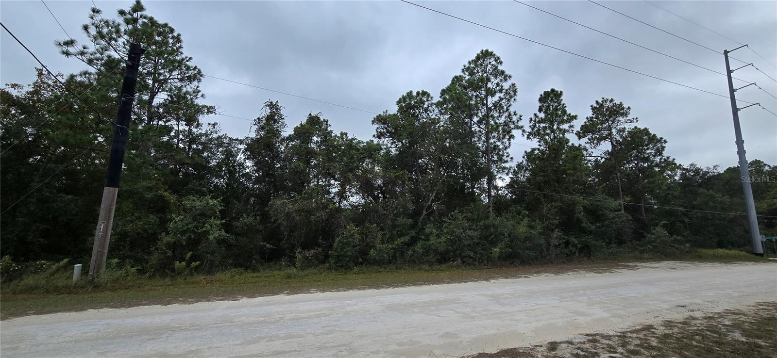 13476 Canada Goose Rd Property Photo 4