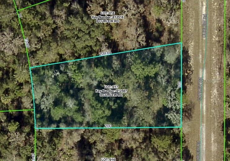 Curlew Rd Property Photo 1