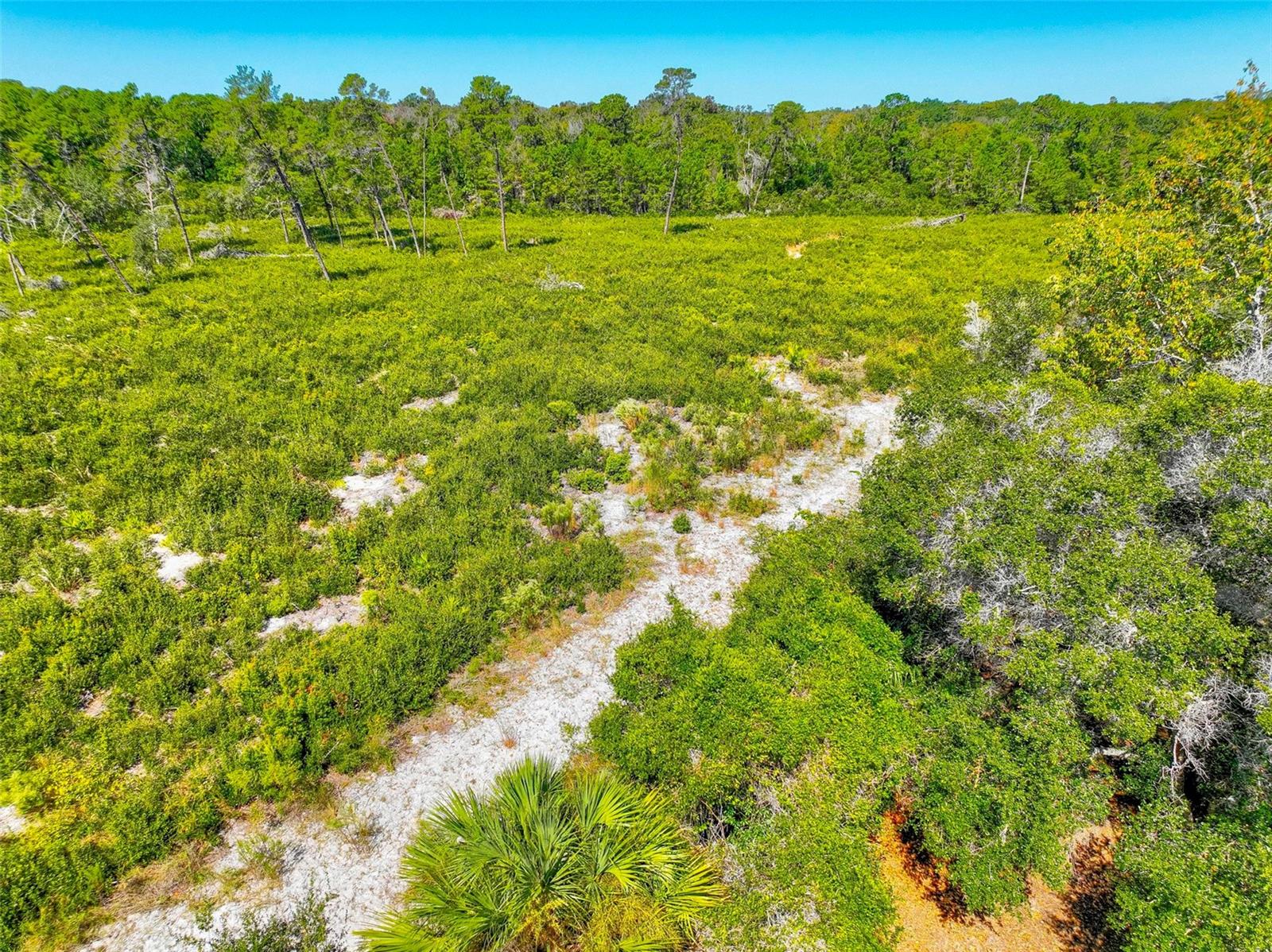 6502 River Run Blvd Property Photo 42