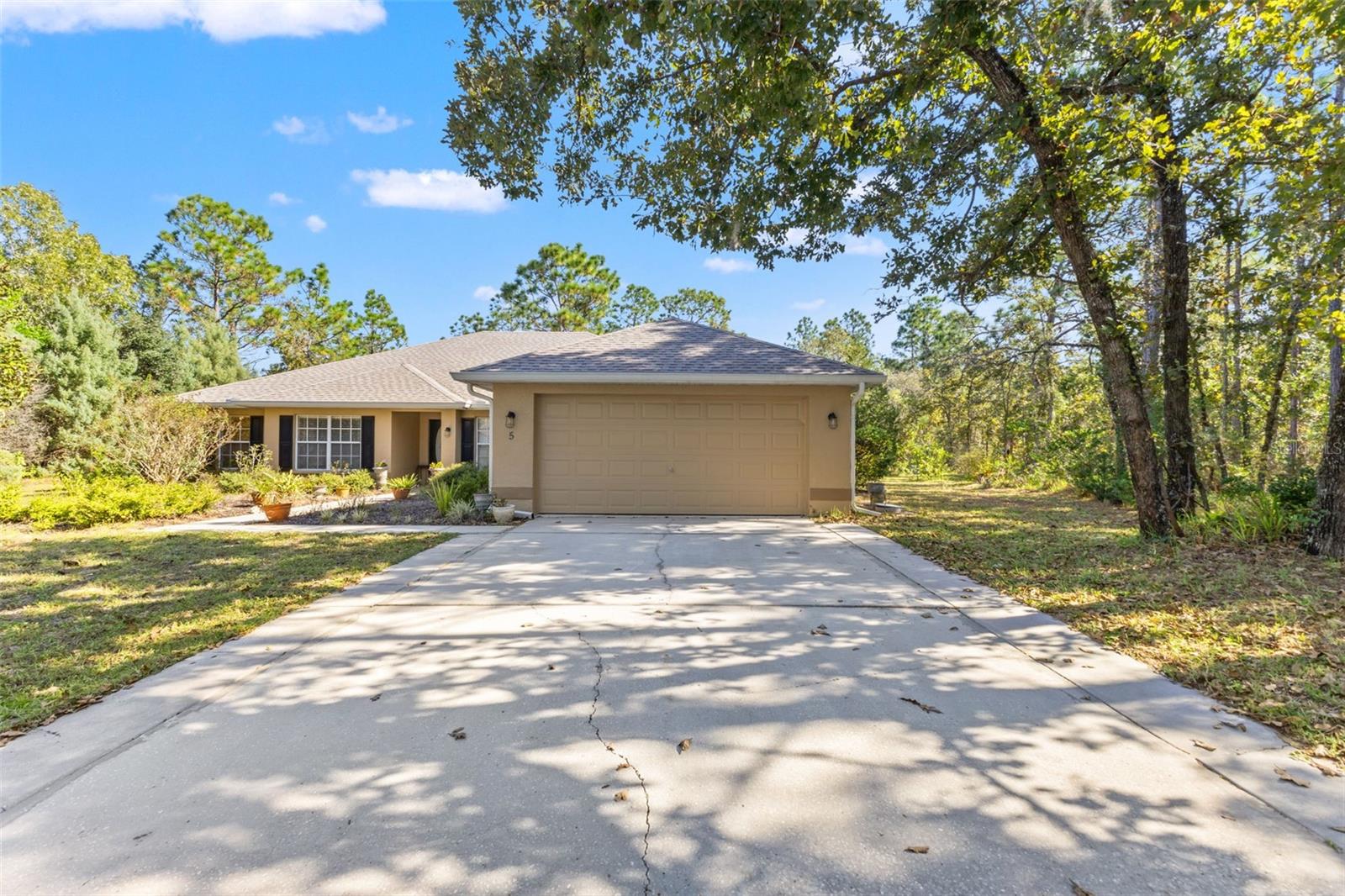 5 Boxleaf Property Photo 2