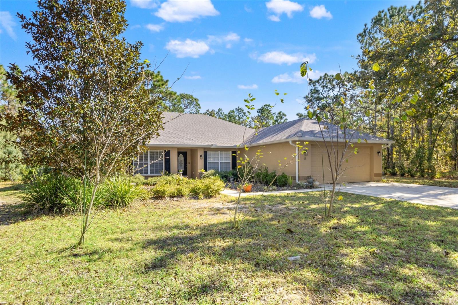 5 Boxleaf Property Photo 3