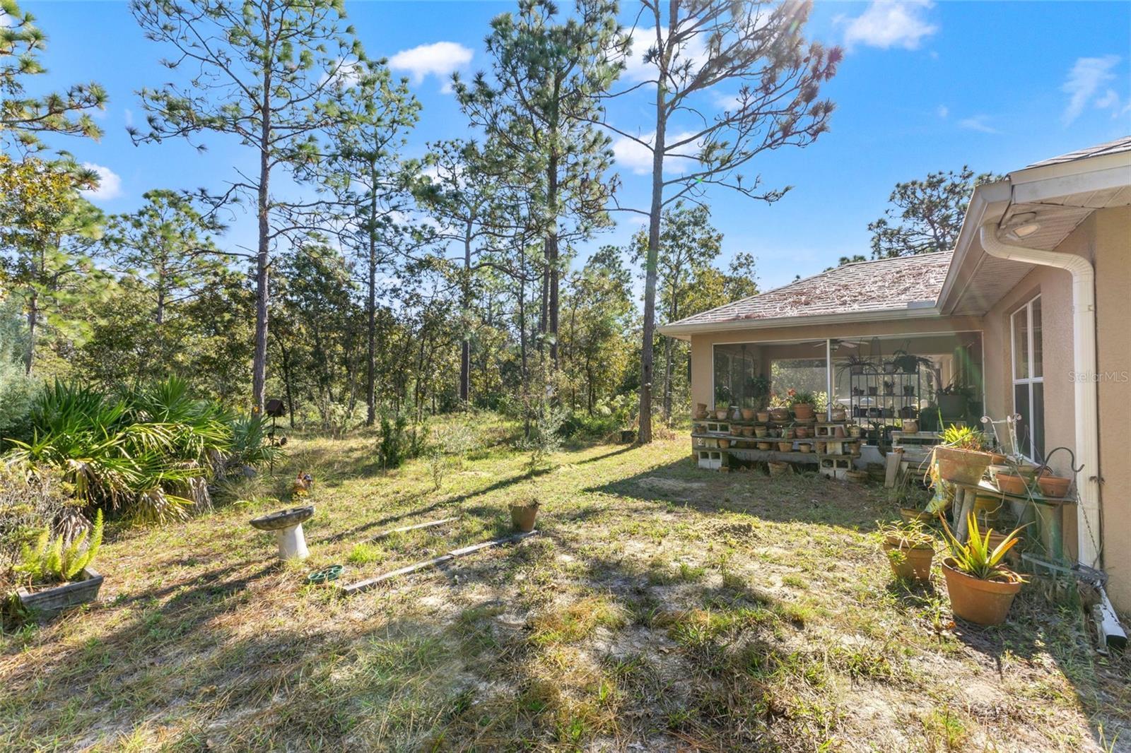 5 Boxleaf Property Photo 28