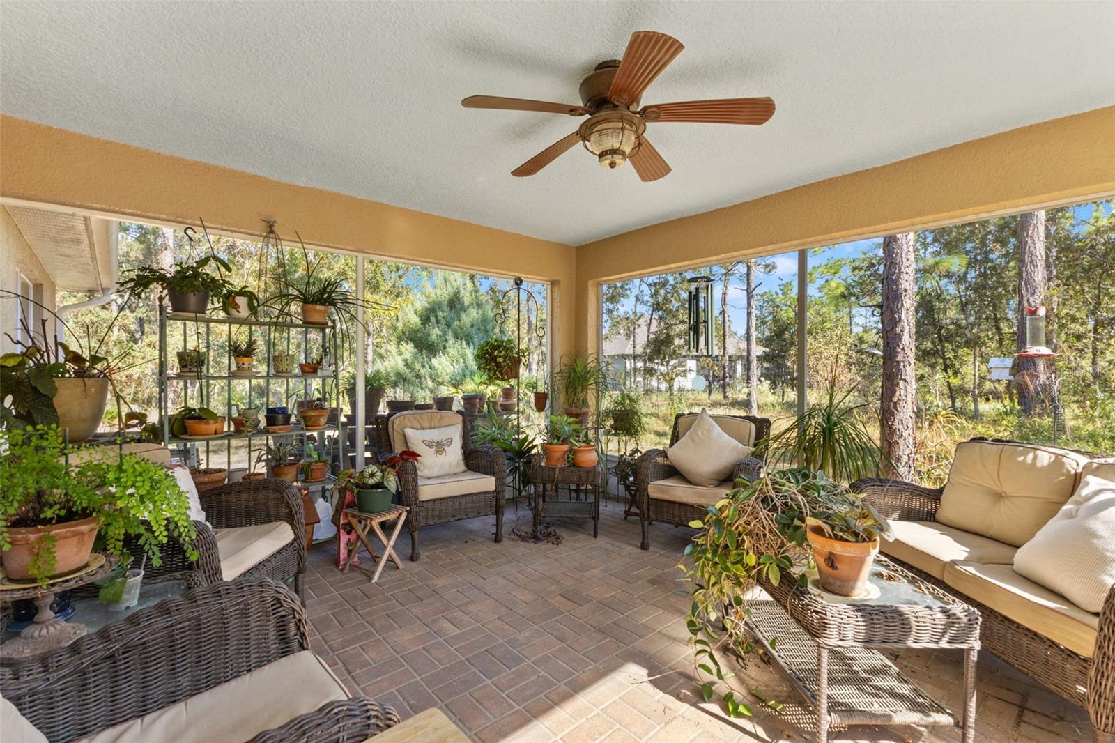 5 Boxleaf Property Photo 39