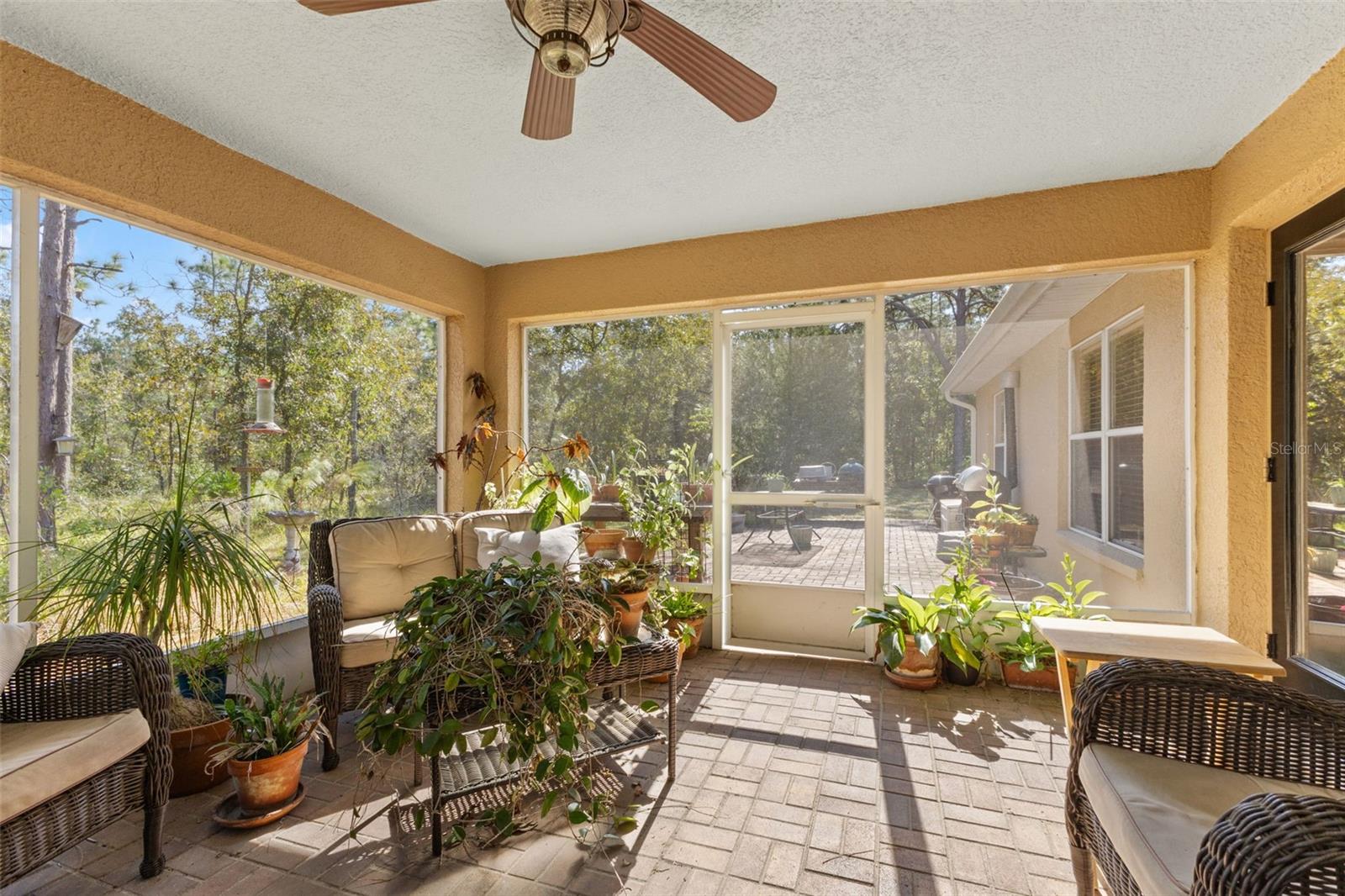 5 Boxleaf Property Photo 42