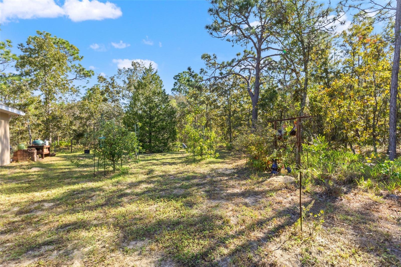 5 Boxleaf Property Photo 44
