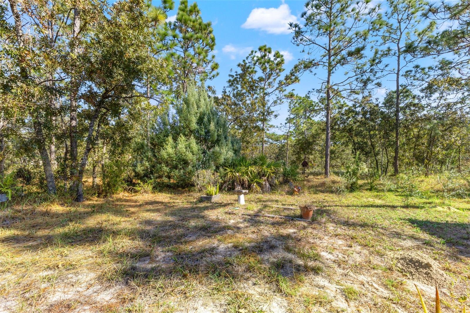 5 Boxleaf Property Photo 54