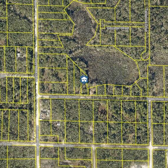 Lot 37 Soap Stone St Property Photo 2