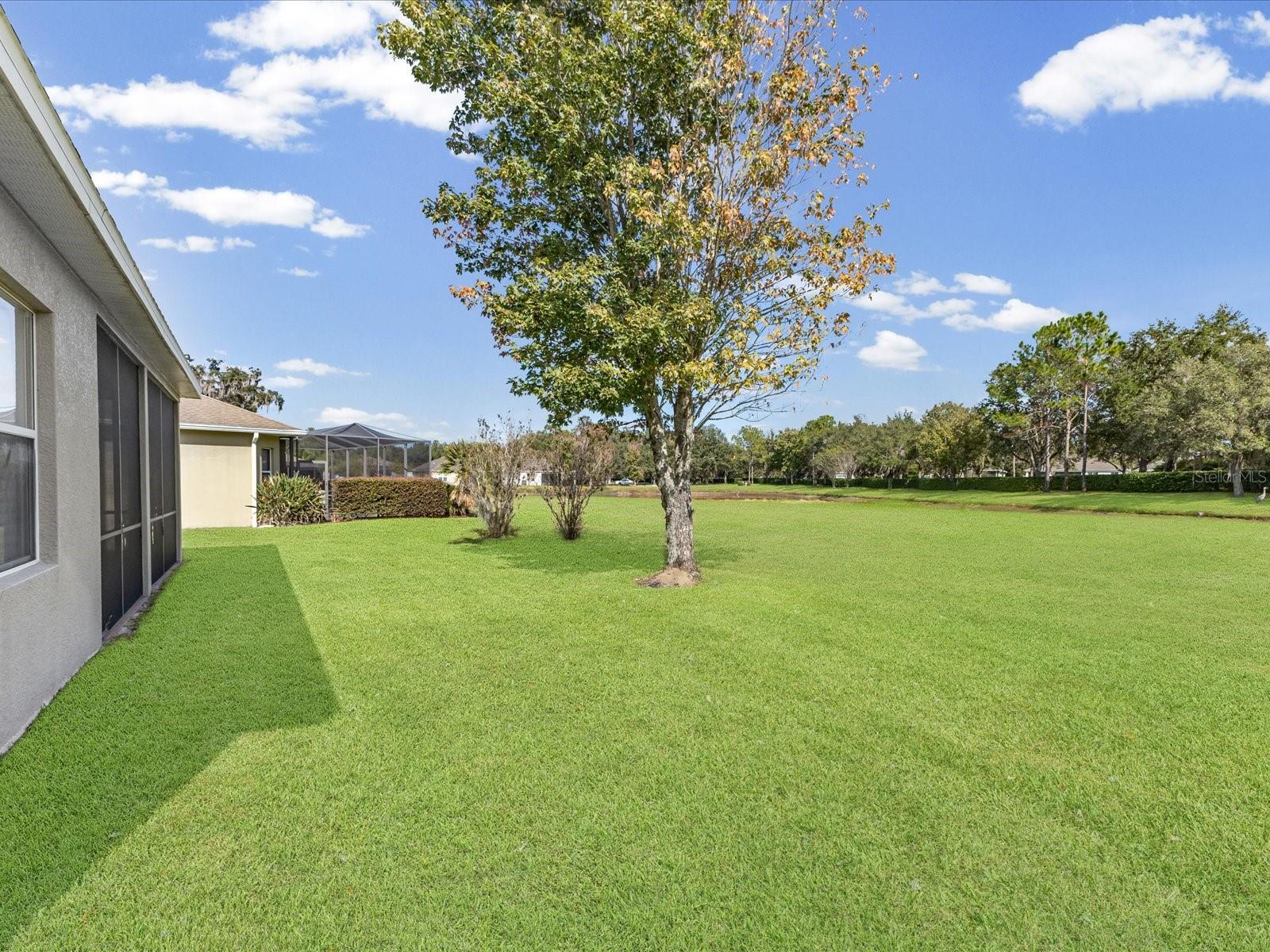 5347 Cappleman Loop Property Photo 25