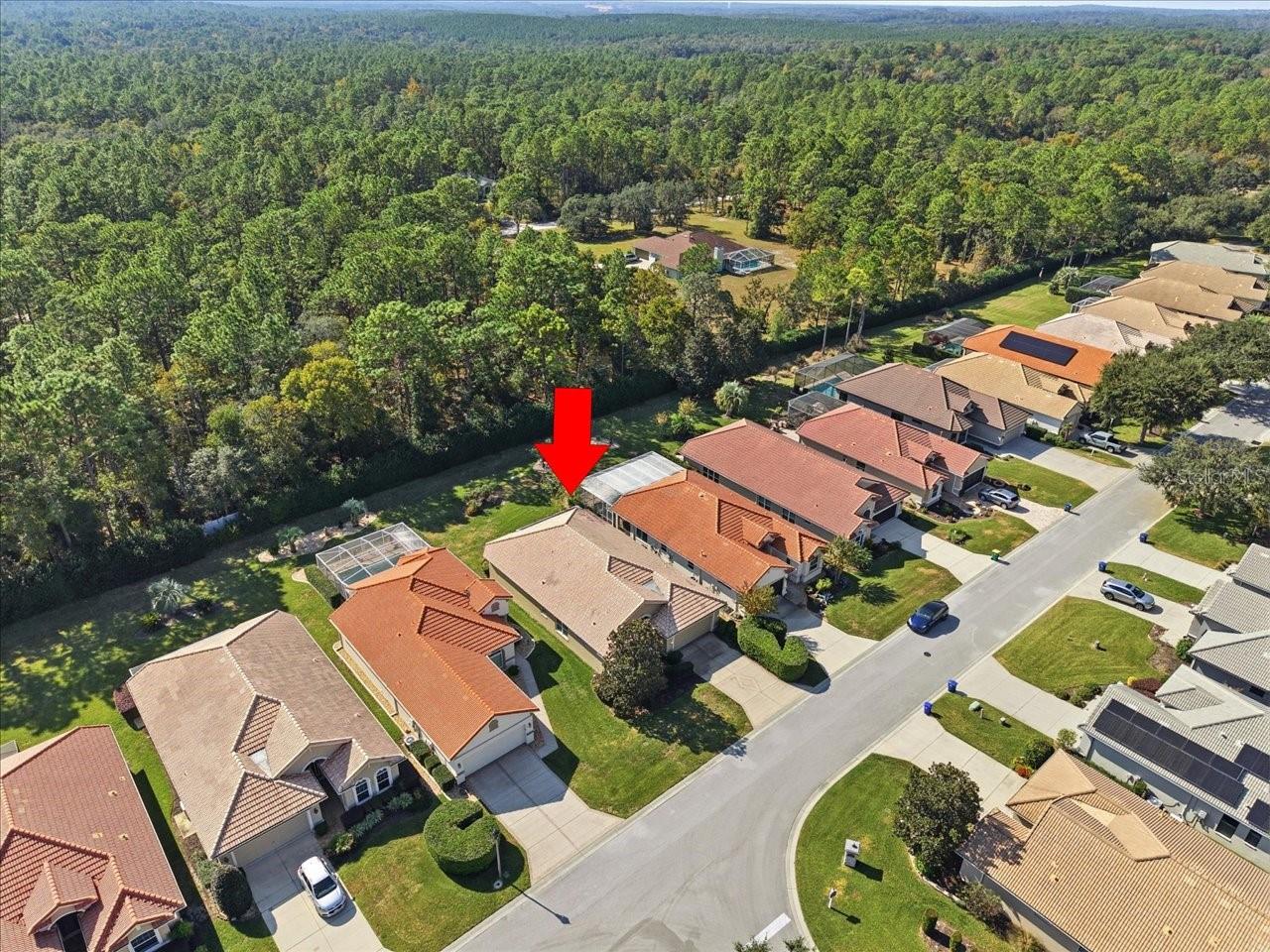 1650 W Laurel Glen Path Property Photo 43