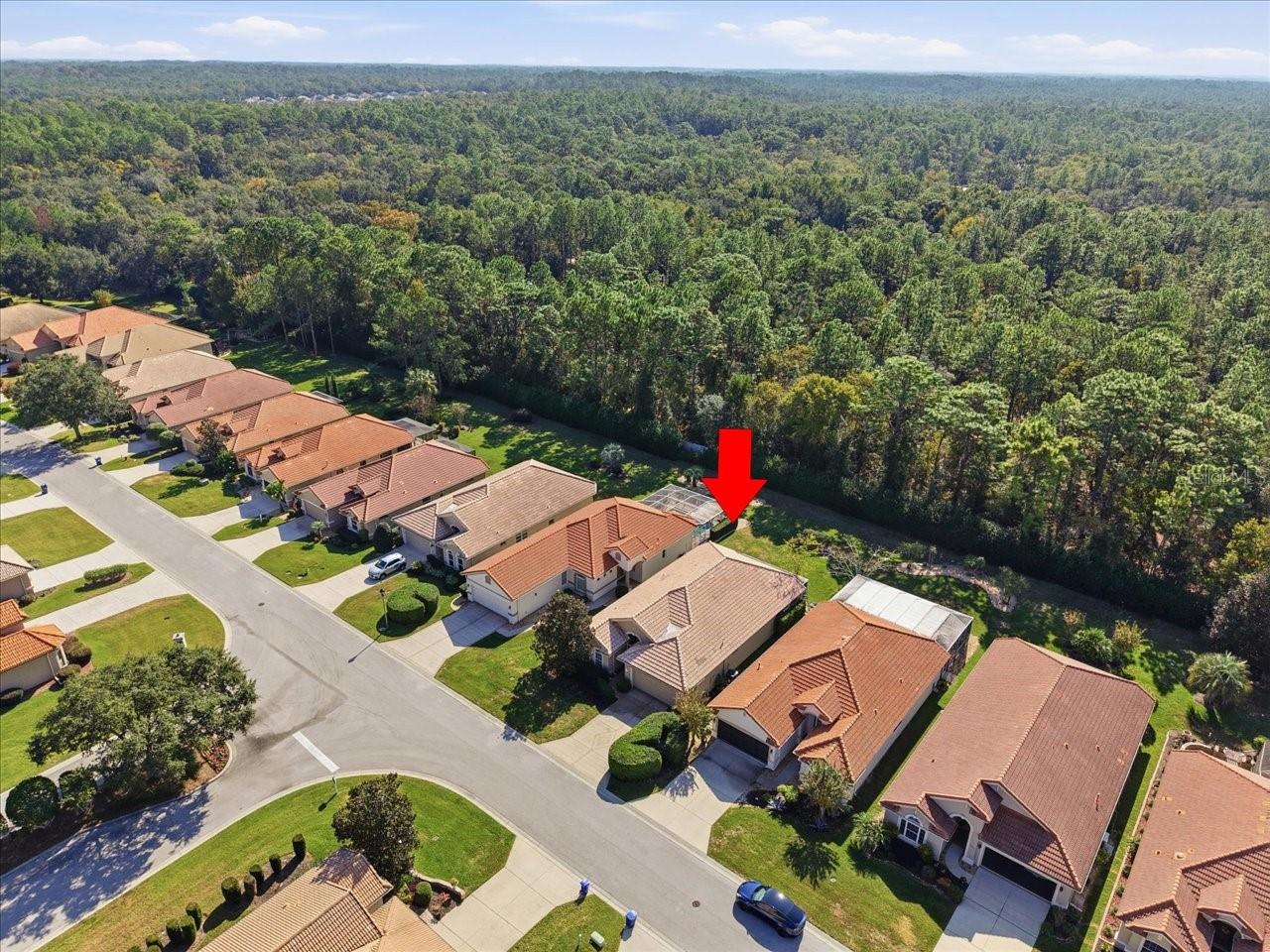 1650 W Laurel Glen Path Property Photo 44