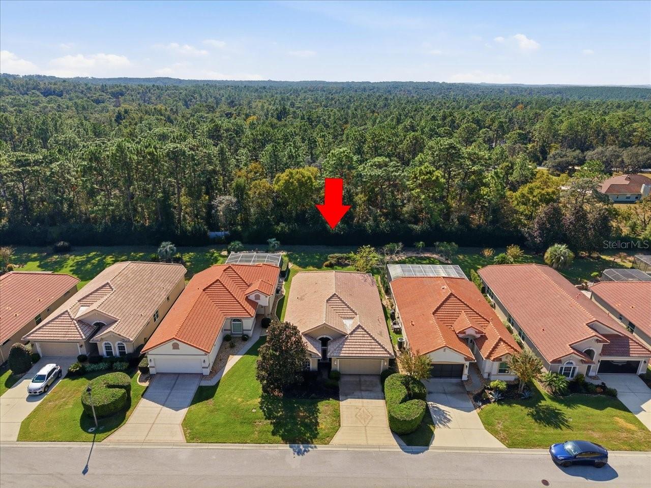 1650 W Laurel Glen Path Property Photo 45