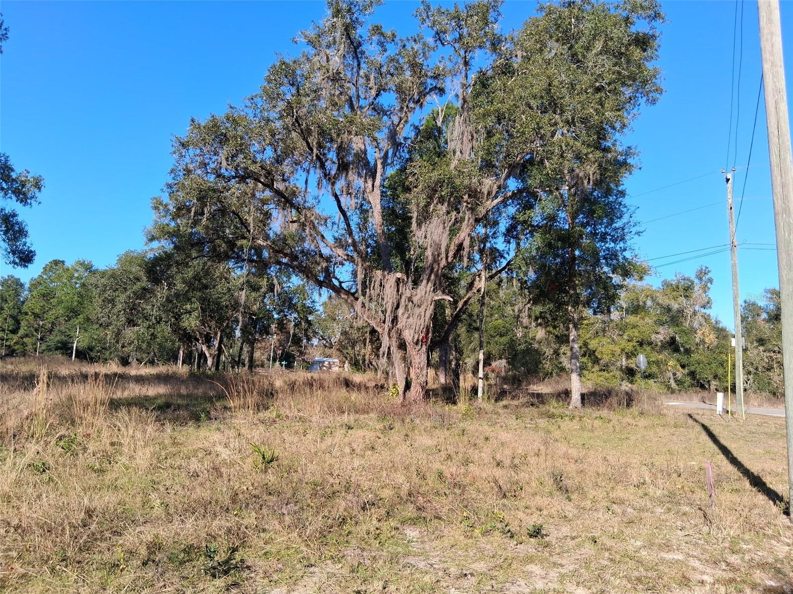 0 Long Cir Property Photo 2