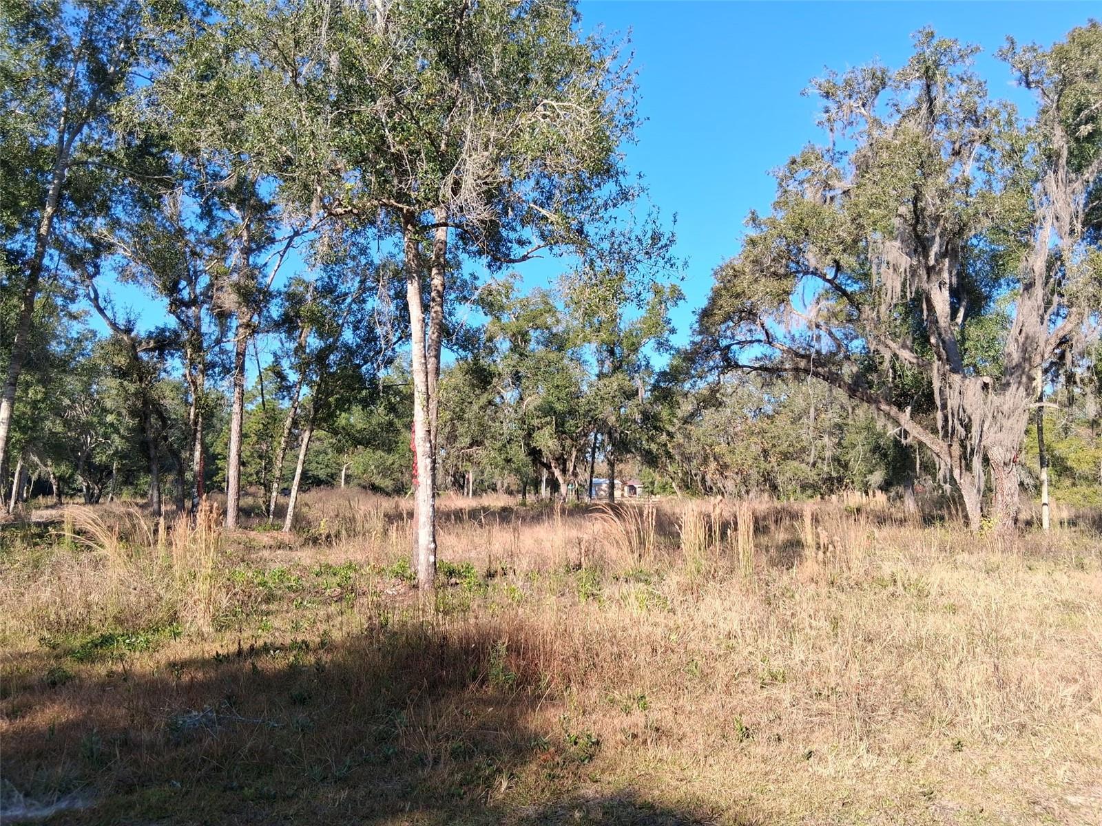 0 Long Cir Property Photo 3