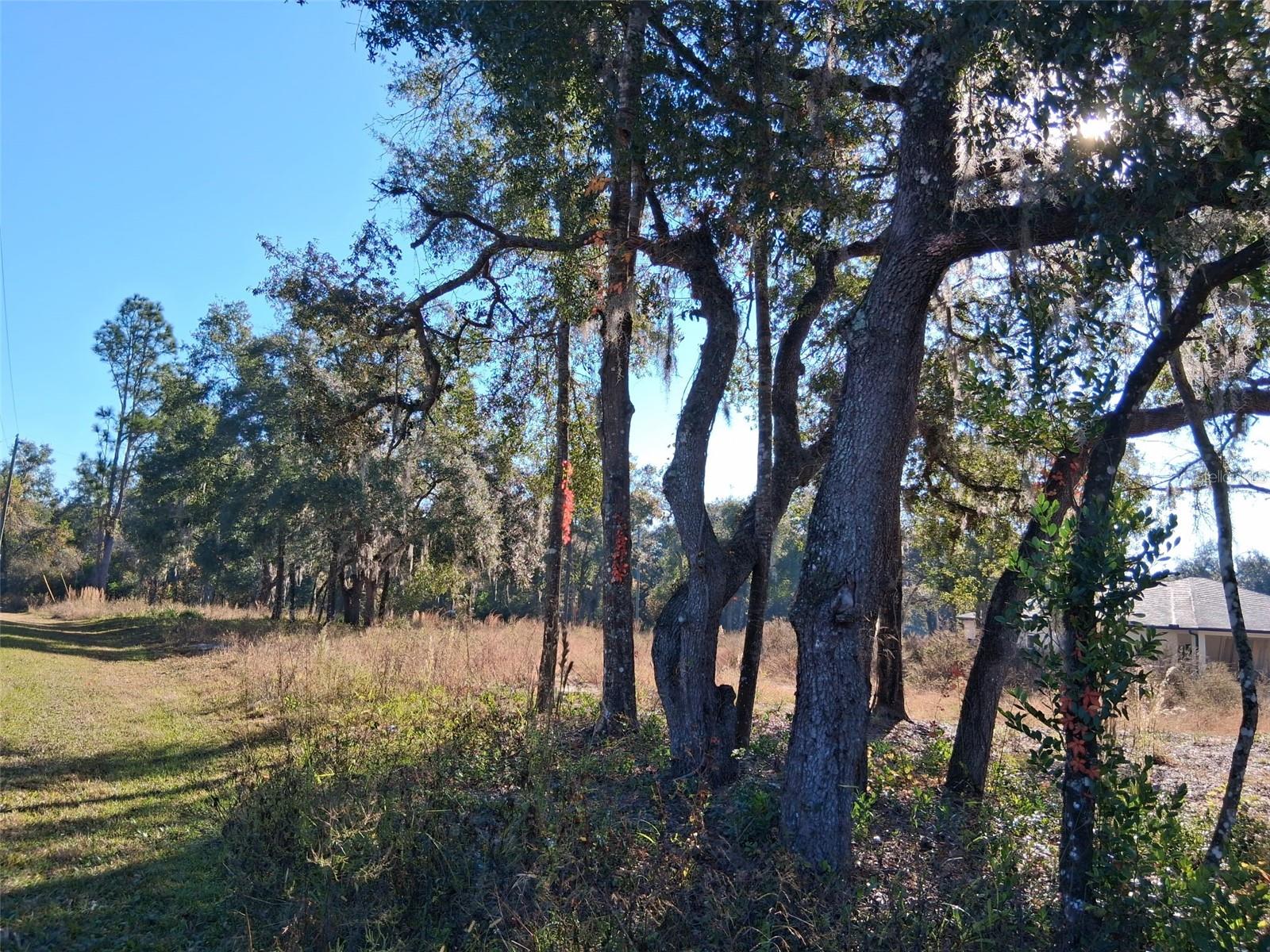 0 Long Cir Property Photo 5