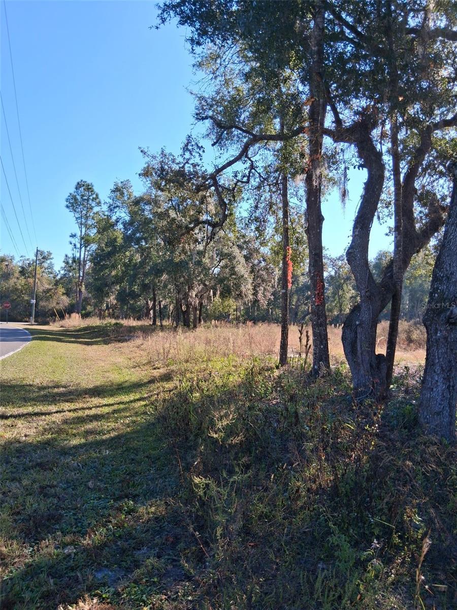 0 Long Cir Property Photo 6