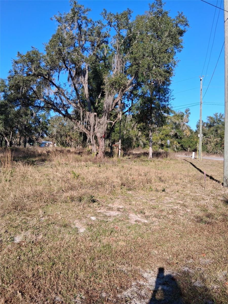 0 Long Cir Property Photo 7